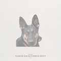 A custom pet ear butterfly print shown on a German Shepherd dog illustration, with the text 'CUSTOM FLOWER EAR BUTTERFLY PRINT' at the bottom on a textured off-white background.