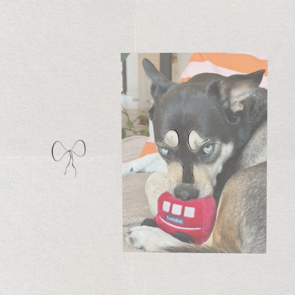 A dog photo print displayed on a textured light beige wall. The print shows a black and tan dog showing the facial features outline for our custom pet feature bow artwork.  Custom meaningful art from Atelier By DSGN.