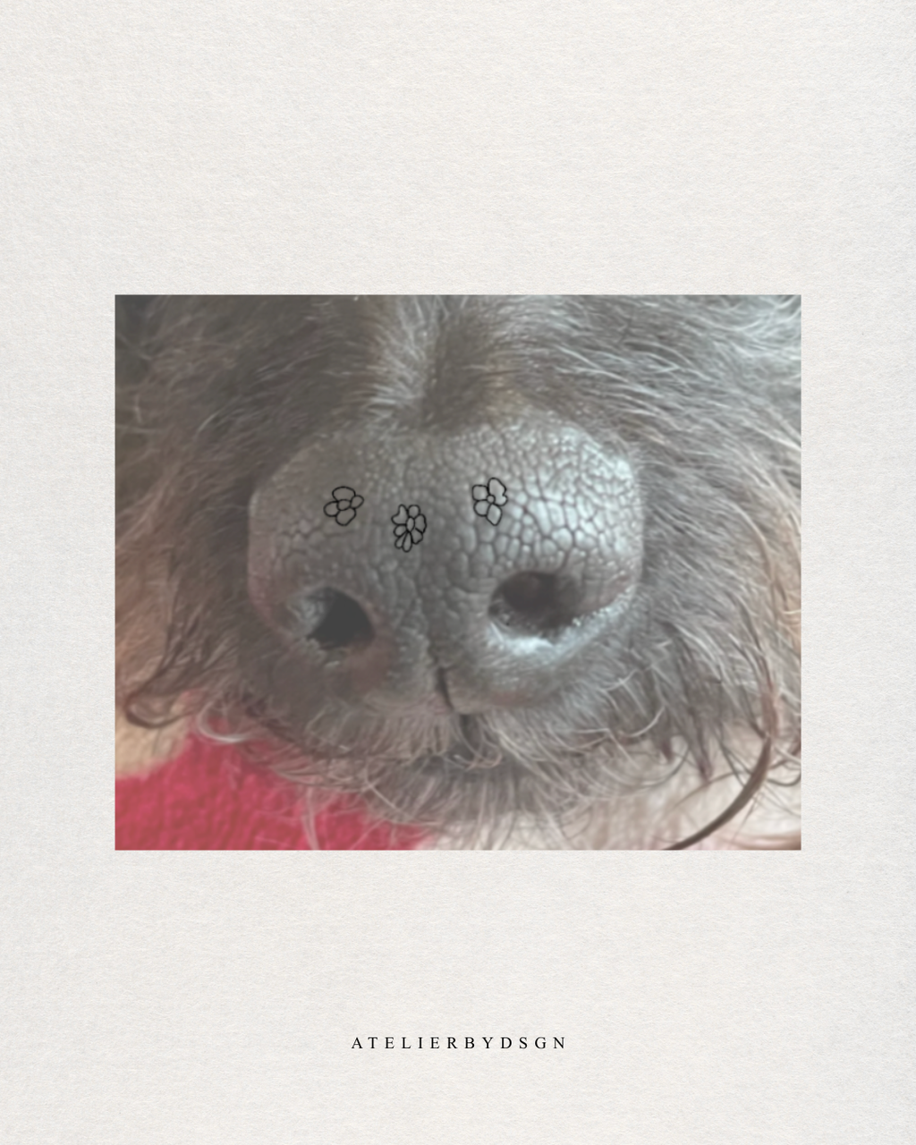 Photo close up of a pet nose with three tiny photos showing formation of the custom pet nose floral bouquet design.  Meaningful minimalist art from Atelier By DSGN.