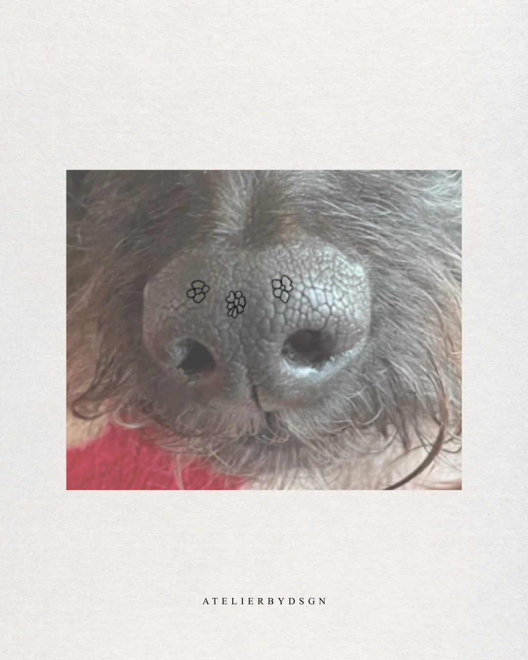 Photo close up of a pet nose with three tiny photos showing formation of the custom pet nose floral bouquet design.  Meaningful minimalist art from Atelier By DSGN.