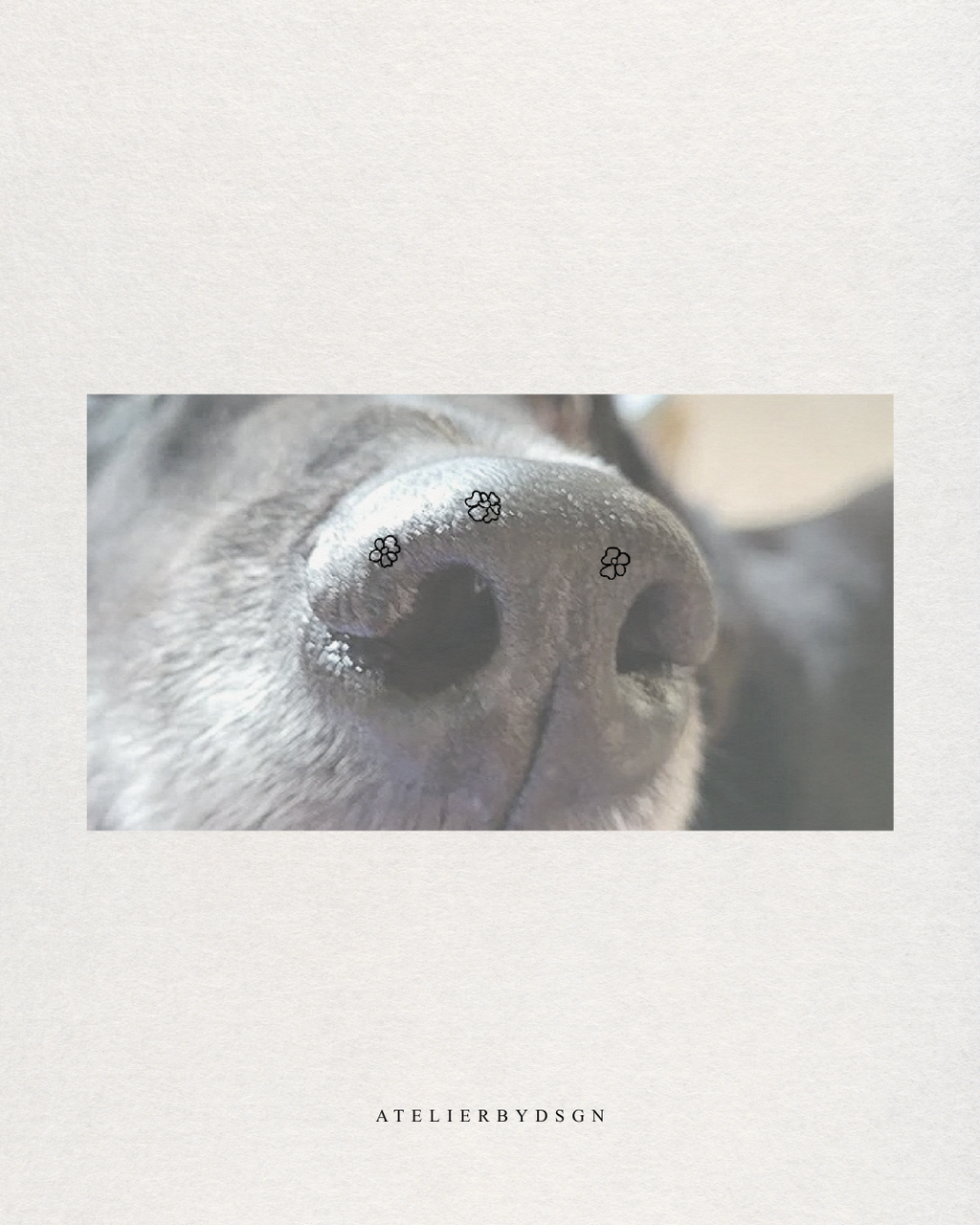 An image featuring a close-up photograph of a dog's nose with small black  custom pet flower design markings, centered on a warm off-white textured background.  Custom meaningful pet artwork from Atelier By DSGN.