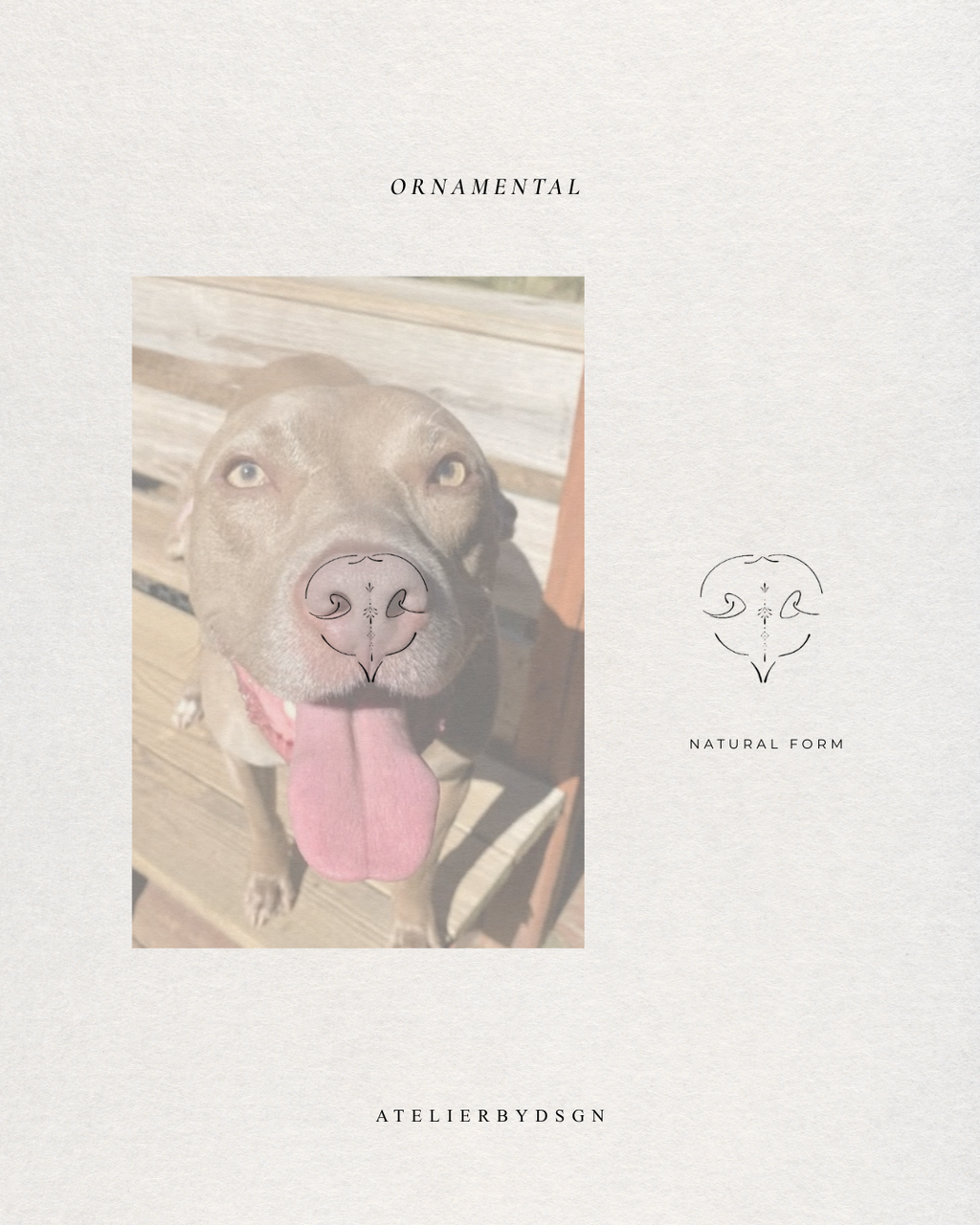 A pet preview on a light warm beige background of our custom pet ornamental design of your pet's loved feature. On the left is a square photo of a dog looking upward with its tongue out, overlaid with a symmetrical heart-shaped graphic of the nose.  Meaningful art from Atelier By DSGN.