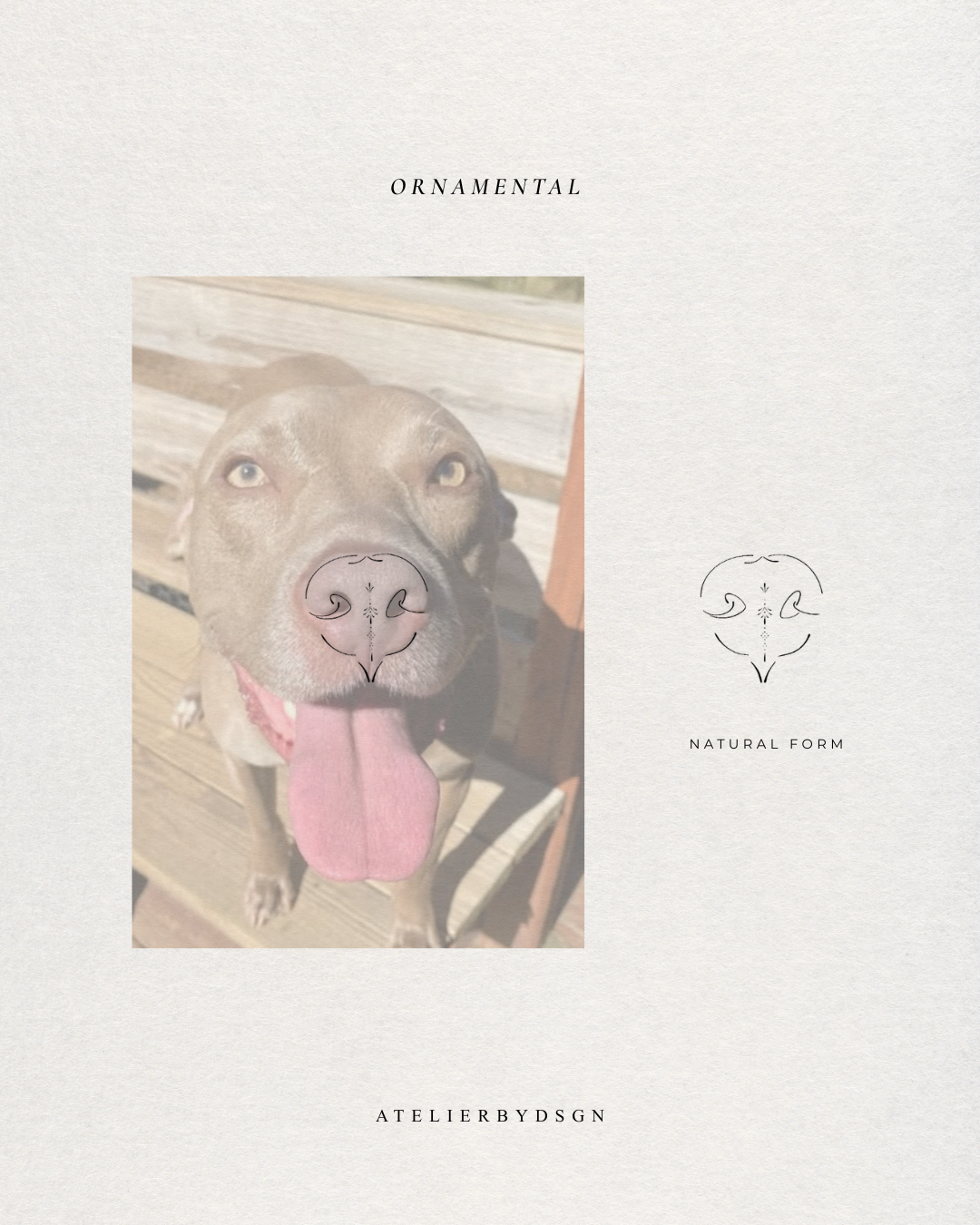 A pet preview on a light warm beige background of our custom pet ornamental design of your pet's loved feature. On the left is a square photo of a dog looking upward with its tongue out, overlaid with a symmetrical heart-shaped graphic of the nose.  Meaningful art from Atelier By DSGN.