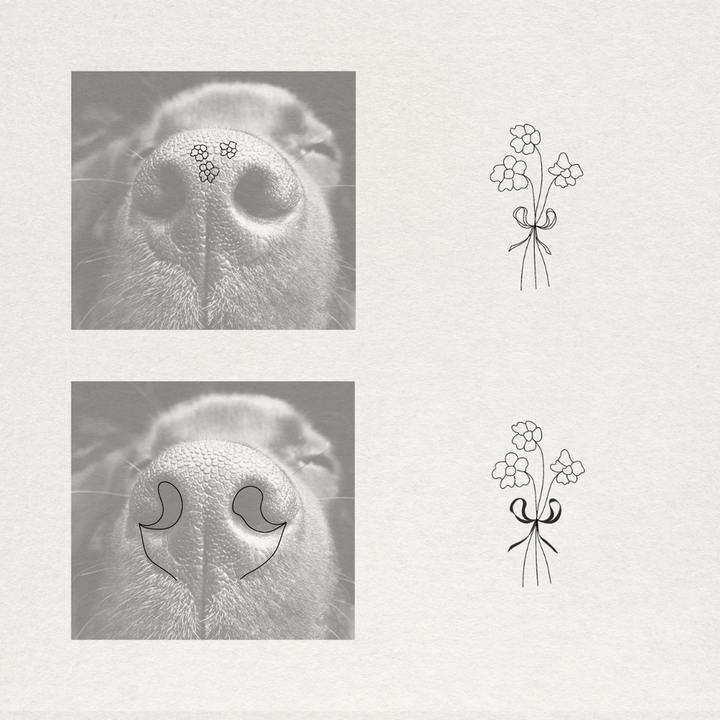 A product presentation showing a set of tattoo designs for a dog's nose. The left side displays a close-up of a dog's nose with two sets of custom designs applied: small flowers on the bridge and crescent moon shapes that form a bow on the nostrils.  Meaningful art from Atelier By DSGN.