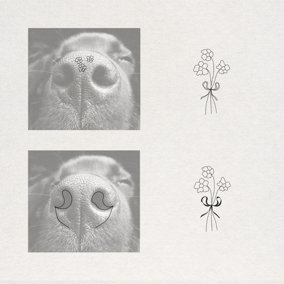 A product presentation showing a set of tattoo designs for a dog's nose. The left side displays a close-up of a dog's nose with two sets of custom designs applied: small flowers on the bridge and crescent moon shapes that form a bow on the nostrils.  Meaningful art from Atelier By DSGN.